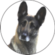 Avatar do usuário